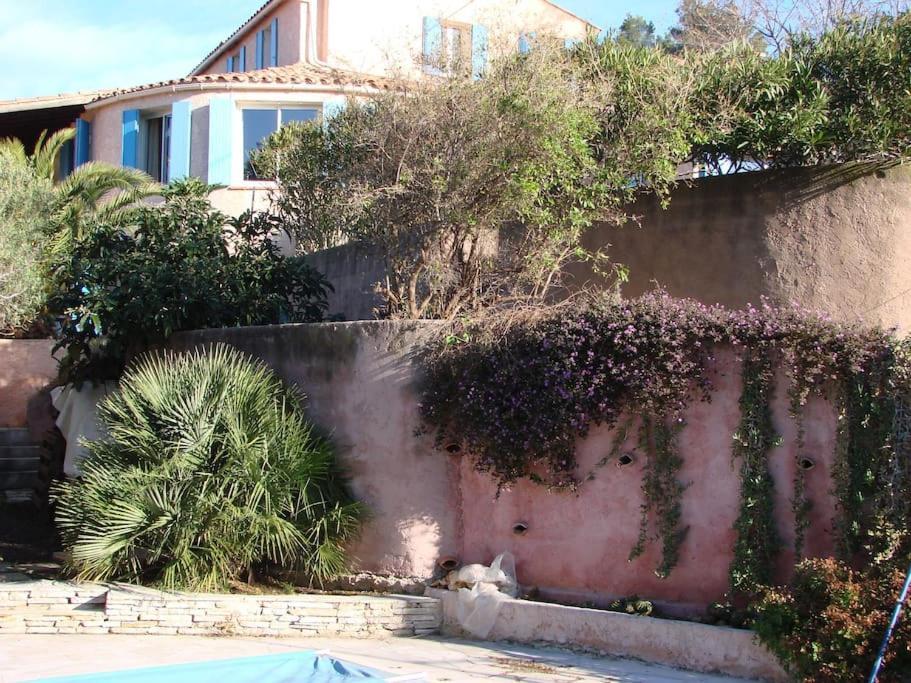 Incredible Apartment Near The Sea And Calanque La Ciotat Exteriör bild